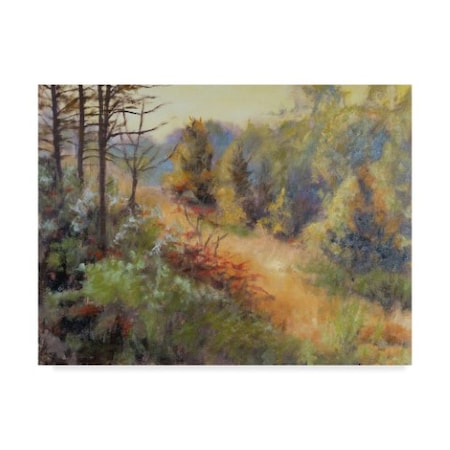 Rusty Frentner 'Autumn Hill' Canvas Art,35x47